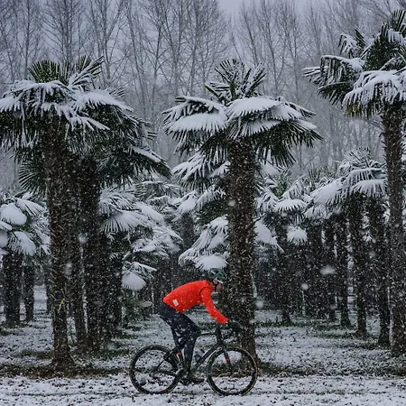Carlemany ז'ירונה